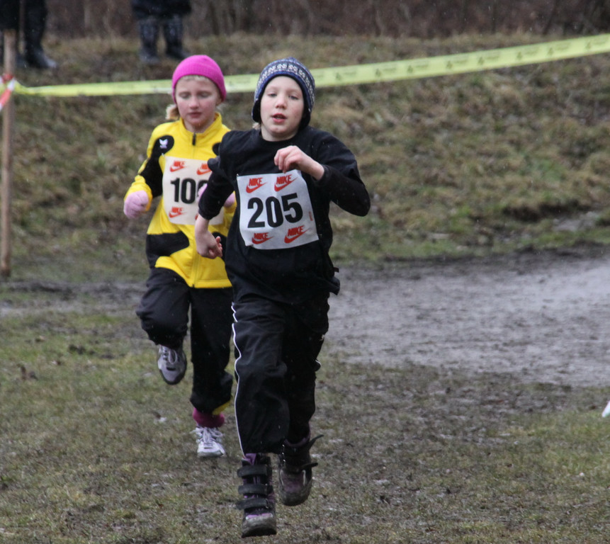LM Crosslauf 2 Weiler 011 278_jpg-1298840217