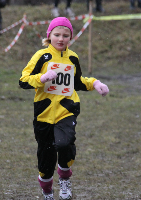 LM Crosslauf 2 Weiler 011 281_jpg-1298840250