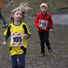 LM Crosslauf 2 Weiler 011 287_jpg-1298840333