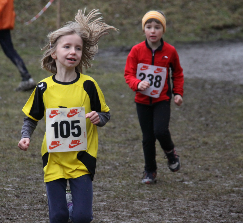 LM Crosslauf 2 Weiler 011 287_jpg-1298840333