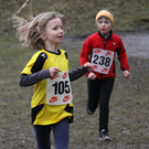 LM Crosslauf 2 Weiler 011 288_jpg-1298840356