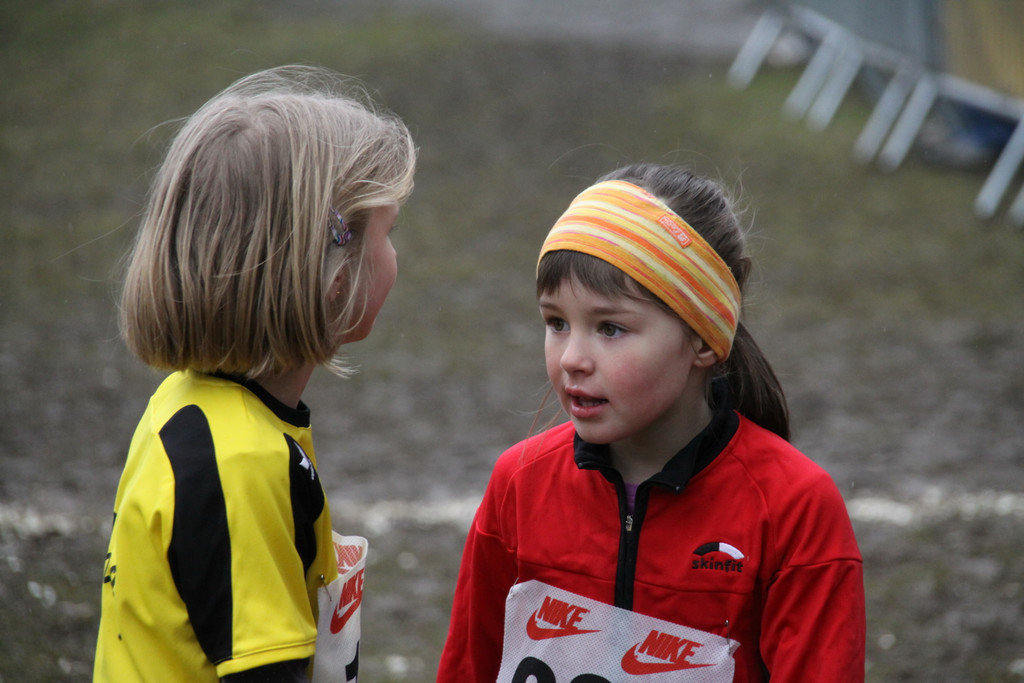 LM Crosslauf 2 Weiler 011 292_jpg-1298840394