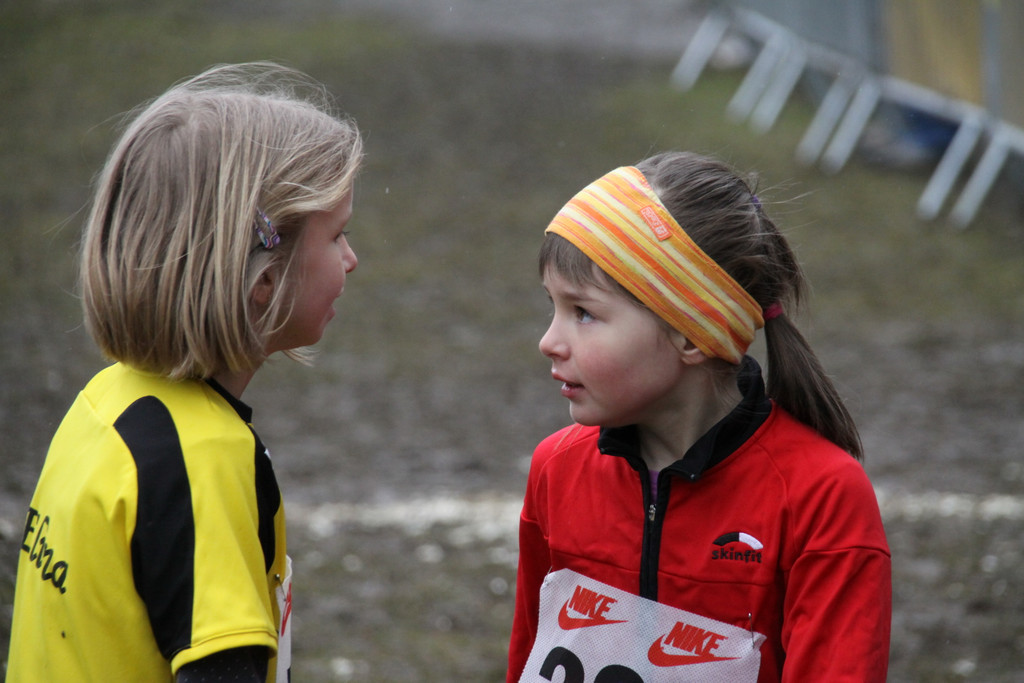 LM Crosslauf 2 Weiler 011 293_jpg-1298840413