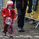 LM Crosslauf 2 Weiler 011 310_jpg-1298840542