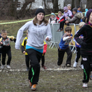 LM Crosslauf 2 Weiler 011 318_jpg-1298840587