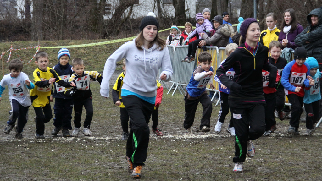 LM Crosslauf 2 Weiler 011 318_jpg-1298840587