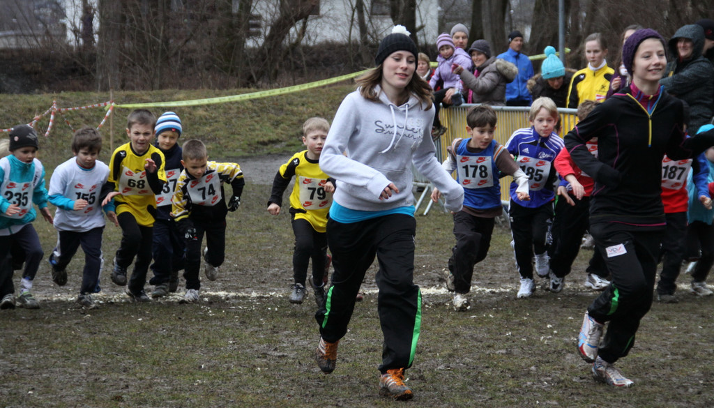 LM Crosslauf 2 Weiler 011 320_jpg-1298840608