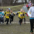 LM Crosslauf 2 Weiler 011 322_jpg-1298840634