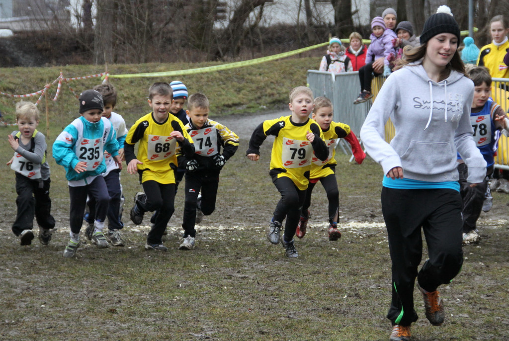 LM Crosslauf 2 Weiler 011 322_jpg-1298840634