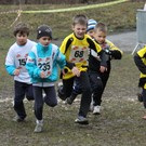 LM Crosslauf 2 Weiler 011 324_jpg-1298840660