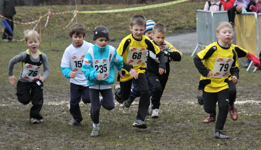 LM Crosslauf 2 Weiler 011 324_jpg-1298840660