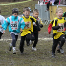 LM Crosslauf 2 Weiler 011 326_jpg-1298840681