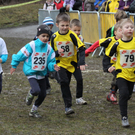 LM Crosslauf 2 Weiler 011 328_jpg-1298840705