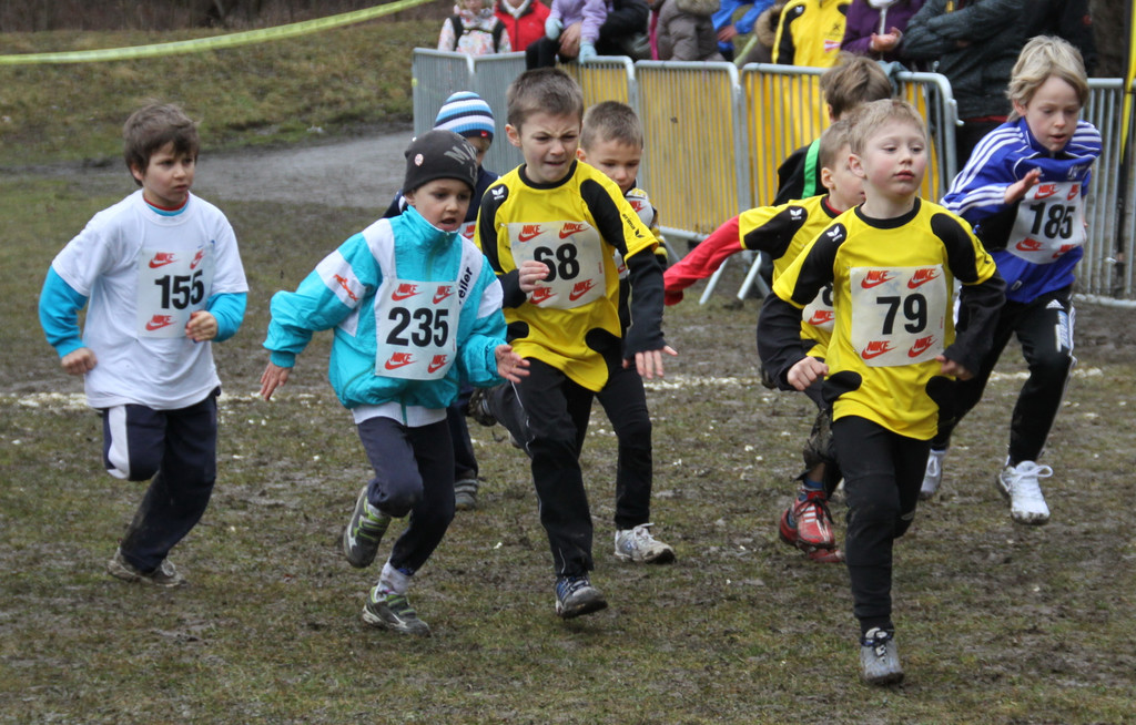 LM Crosslauf 2 Weiler 011 328_jpg-1298840705
