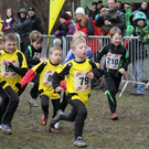 LM Crosslauf 2 Weiler 011 330_jpg-1298840729