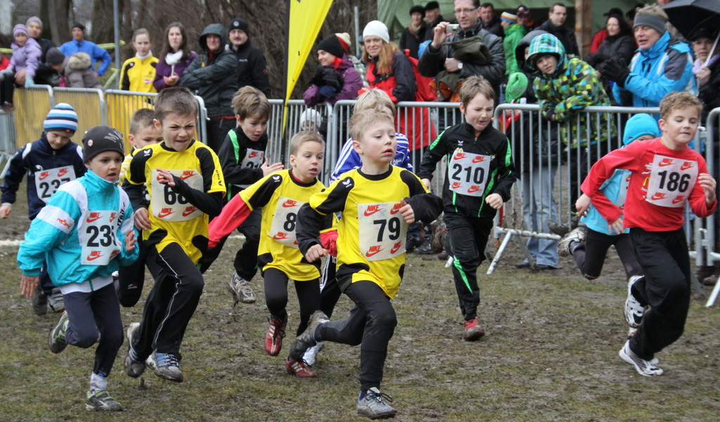 LM Crosslauf 2 Weiler 011 330_jpg-1298840729