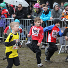 LM Crosslauf 2 Weiler 011 333_jpg-1298840754