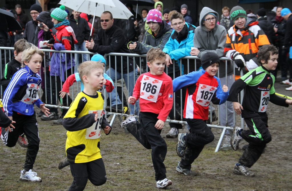 LM Crosslauf 2 Weiler 011 333_jpg-1298840754