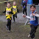 LM Crosslauf 2 Weiler 011 346_jpg-1298840807