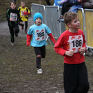 LM Crosslauf 2 Weiler 011 369_jpg-1298840874