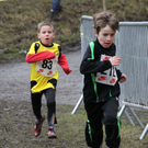 LM Crosslauf 2 Weiler 011 370_jpg-1298840894
