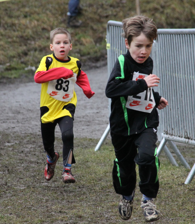 LM Crosslauf 2 Weiler 011 370_jpg-1298840894