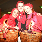 GschnasBerndorf26021108.jpg