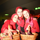 GschnasBerndorf26021109.jpg