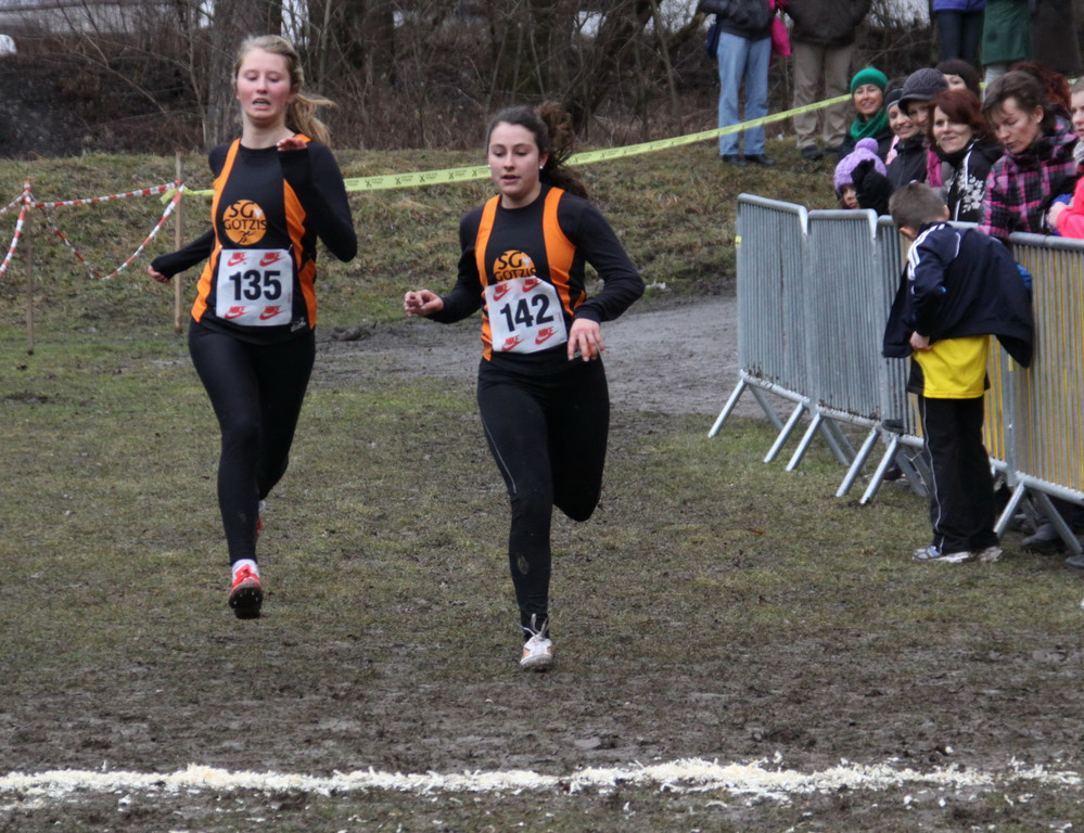 LM Crosslauf 2 Weiler 011 151_jpg-1298892059