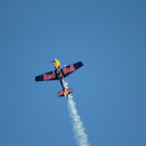 26022011hannesarchredbullnmaktivnews__4_.jpg