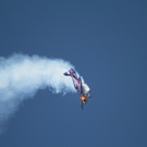 26022011hannesarchredbullnmaktivnews__52_.jpg