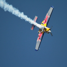 26022011hannesarchredbullnmaktivnews__53_.jpg