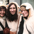 Bild 217.jpg