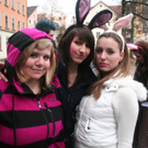 Bild 260.jpg
