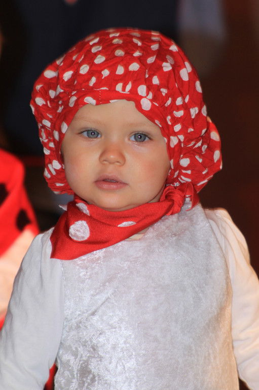 IMG_6912_JPG-1298967279