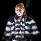 IBD0363-20110301.jpg