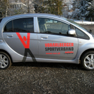 Elektroauto 5.jpg