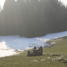 IMG_9263.jpg