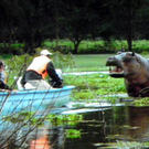 108_9795_jpg-1299104265