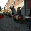 Pino4.jpg