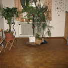 Haus15.jpg