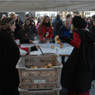 DSC_1120 _Medium__JPG-1299174930
