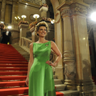Die ersten Bilder Opernball Roter Teppich 2011