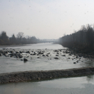 IMG_7087.jpg