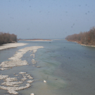 IMG_7086.jpg