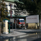 normal_04032011voglauergmaktivnews_3.jpg