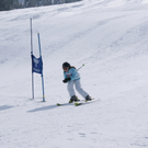 DSC02241_JPG-1299255616