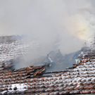 04032011brandeggenfeldenfibaktivnews_11.jpg