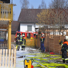 04032011brandeggenfeldenfibaktivnews_13.jpg