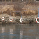normal_04032011stegffaktivnews_034.jpg